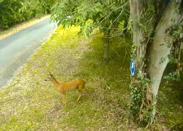 Sibemol Дом отдыха Simeyrols